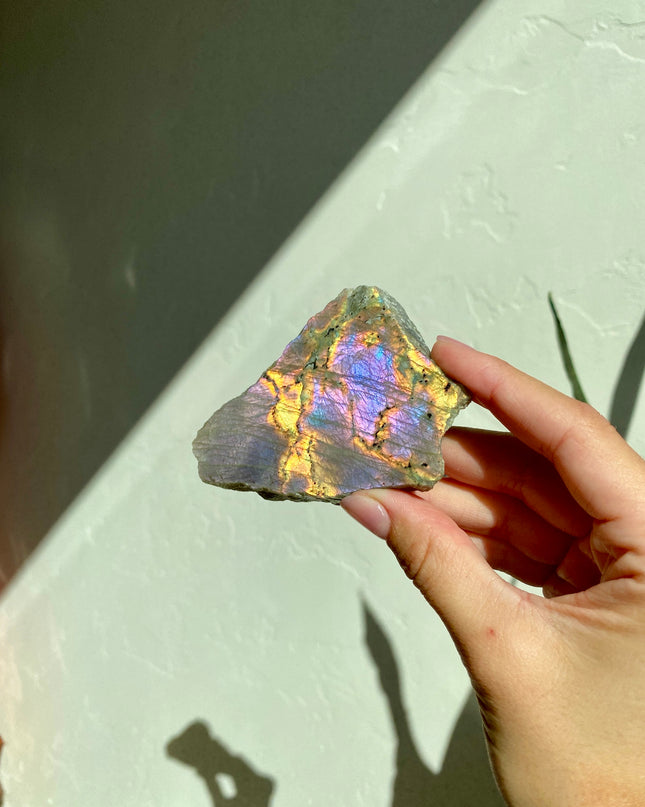 Half-Polished Full Spectrum Labradorite | Natural Radiance
