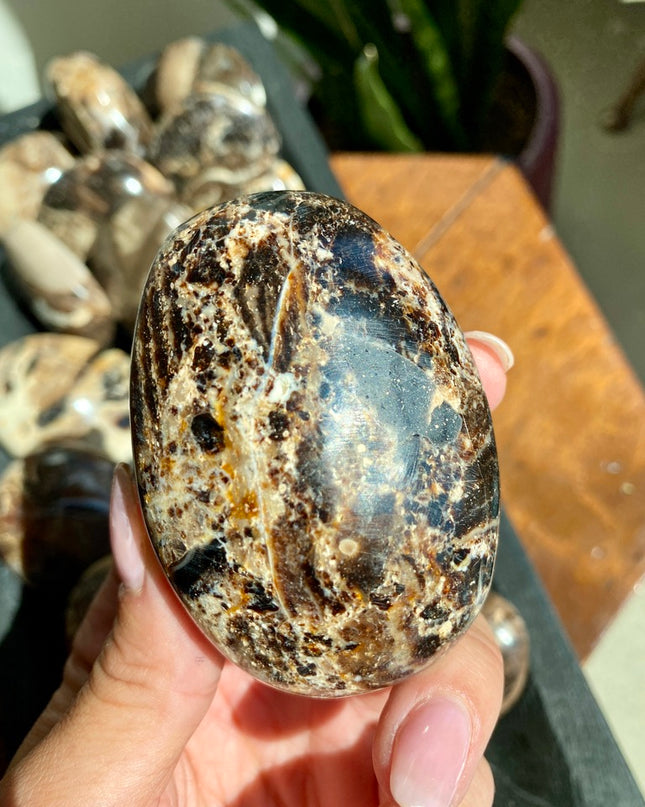 Black Opal Palm Stone | Resilience and Rebirth