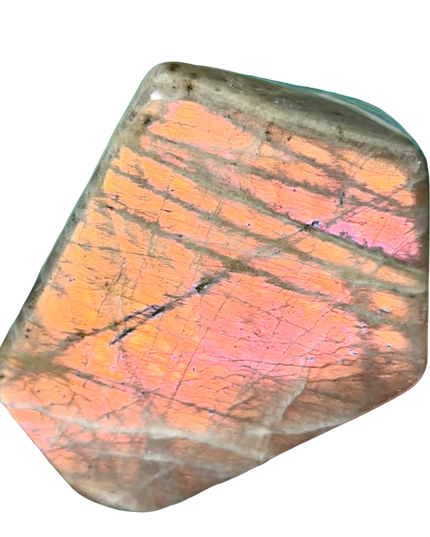 Fire Flash Labradorite Freeform | Rare Collector’s Flash Gem