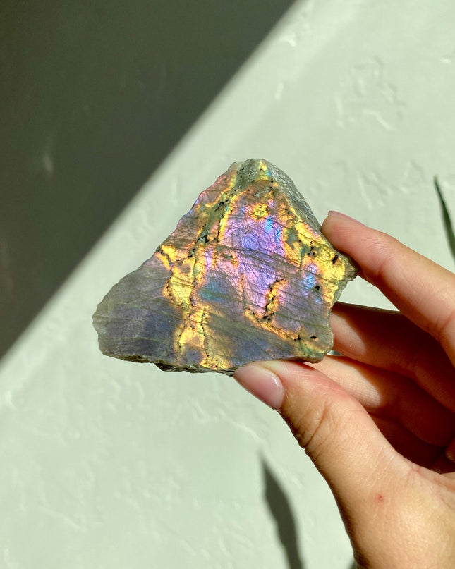 Half-Polished Full Spectrum Labradorite | Natural Radiance