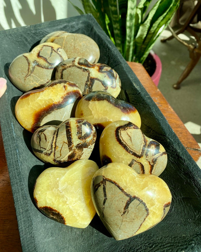 Yellow Septarian Heart | Dragon Stone