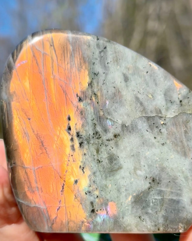 Fire Flash Labradorite Freeform | Path to Insight & Energy