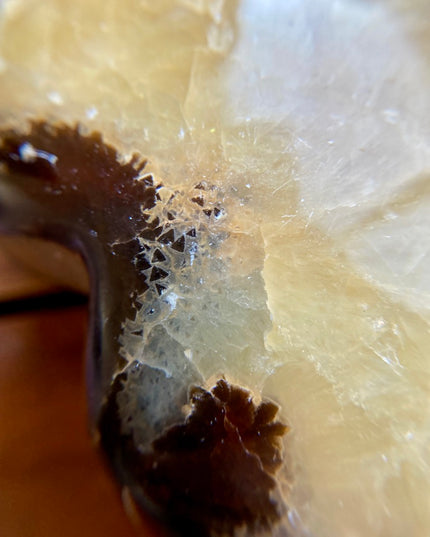Yellow Septarian Heart | Dragon Stone