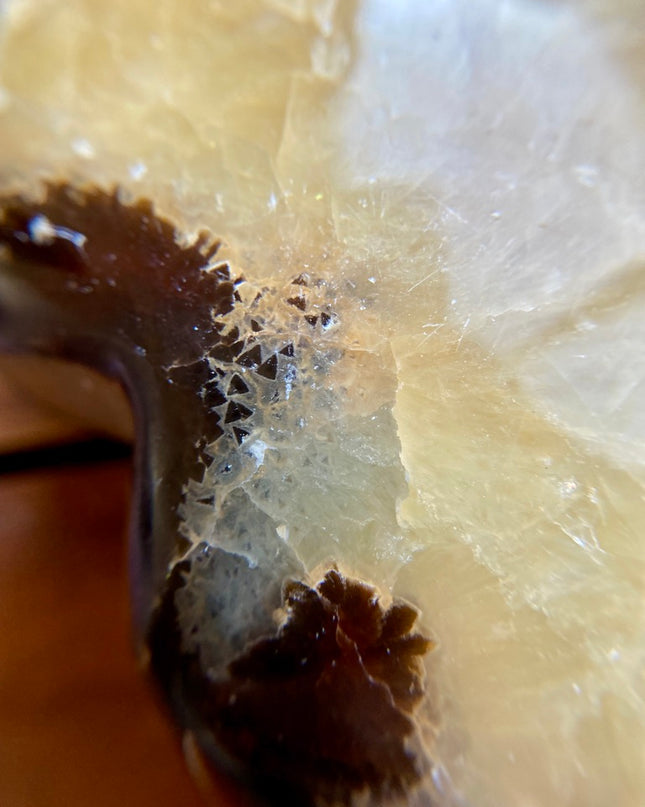 Yellow Septarian Heart | Dragon Stone