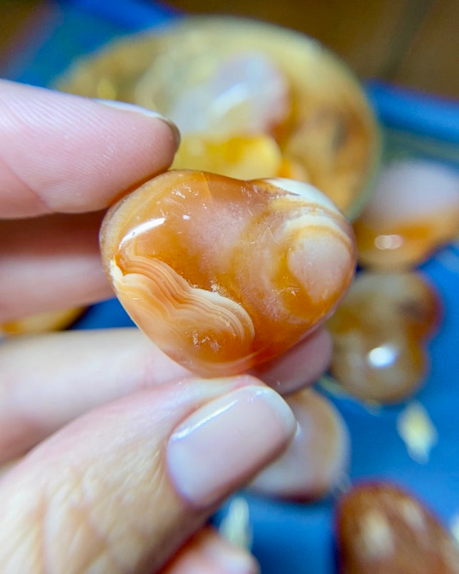 Carnelian Heart | Focus Finder