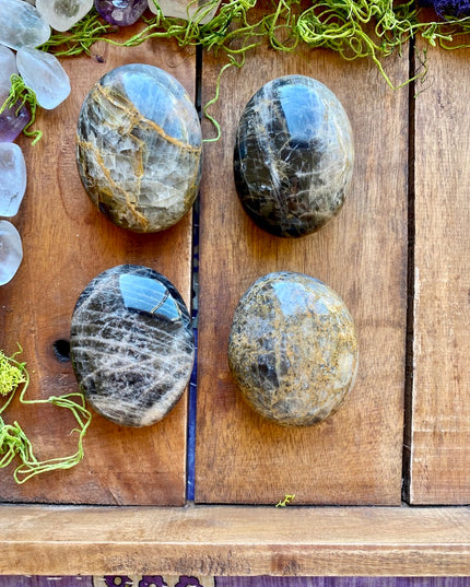 Black Moonstone Palm Stone | Intuition and Reflection