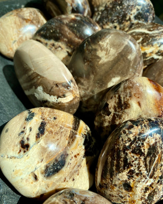 Black Opal Palm Stone | Resilience and Rebirth