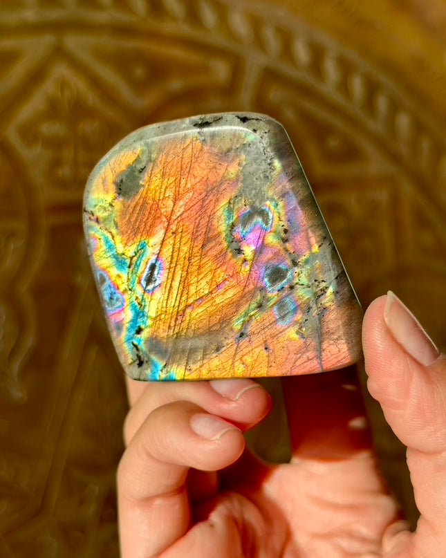 Fire Flash Labradorite Freeform | Fungi
