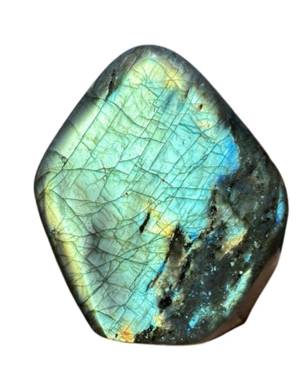 Mermaid Labradorite Freeform | Collector's Stone