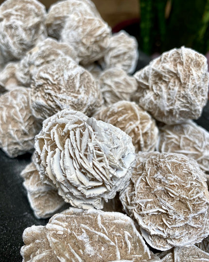 Desert Rose Cluster | Healing Crystal for Grounding & Energy