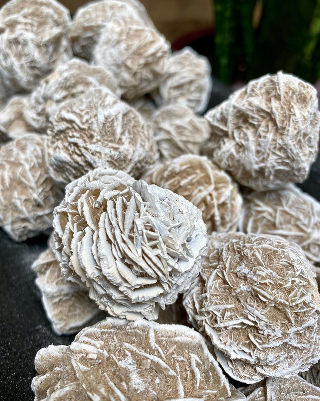 Desert Rose Cluster | Healing Crystal for Grounding & Energy