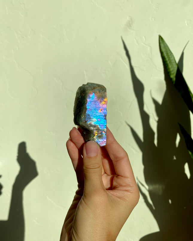 Half-Polished Full Spectrum Labradorite | Rooted
