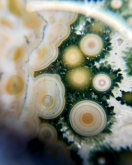 Extraordinary 8th Vein Ocean Jasper Sphere | Last of Its Kind