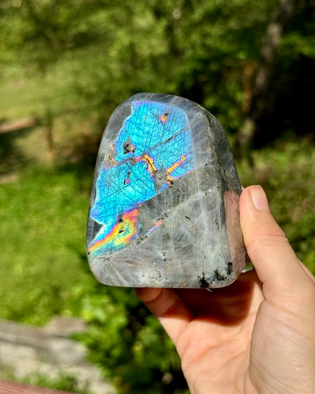 Extraordinary Labradorite Freeform | Balanced Energy & Insight
