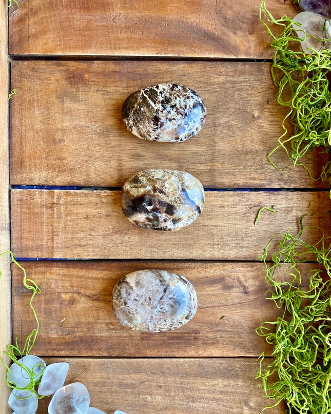 Black Opal Palm Stone | Resilience and Rebirth