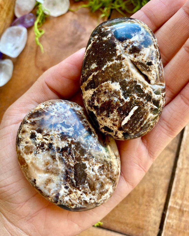 Black Opal Palm Stone | Resilience and Rebirth