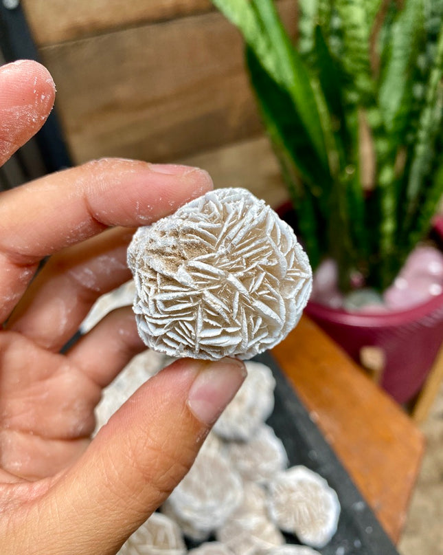 Desert Rose Cluster | Healing Crystal for Grounding & Energy