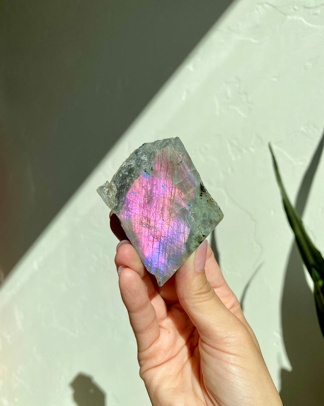 Half-Polished Full Spectrum Labradorite | Natural Radiance