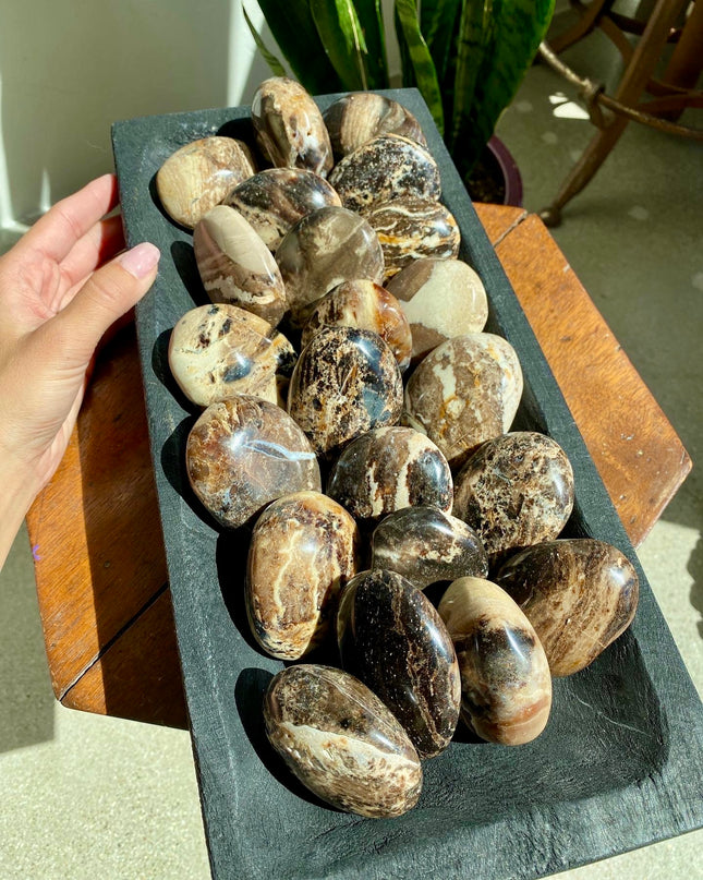 Black Opal Palm Stone | Resilience and Rebirth