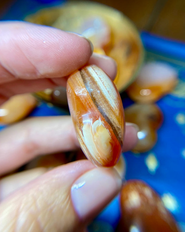 Carnelian Heart | Focus Finder