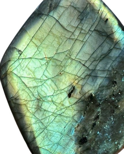 Mermaid Labradorite Freeform | Collector's Stone