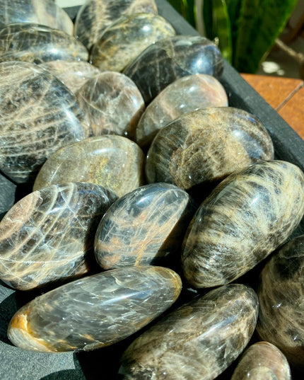 Black Moonstone Palm Stone | Intuition and Reflection
