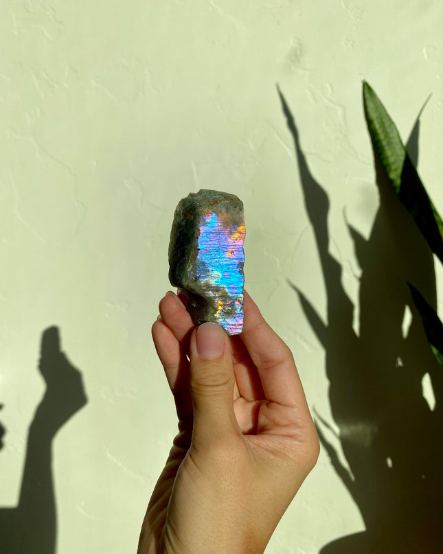 Half-Polished Full Spectrum Labradorite | Rooted
