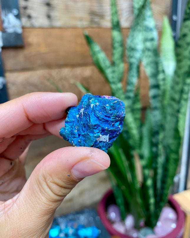 Peacock Ore |