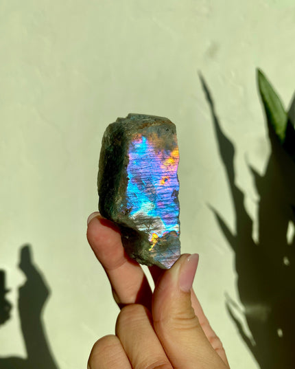 Half-Polished Full Spectrum Labradorite | Rooted