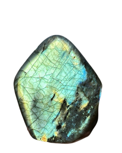 Mermaid Labradorite Freeform | Collector's Stone