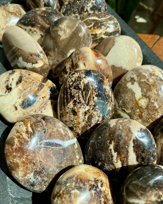 Black Opal Palm Stone | Resilience and Rebirth