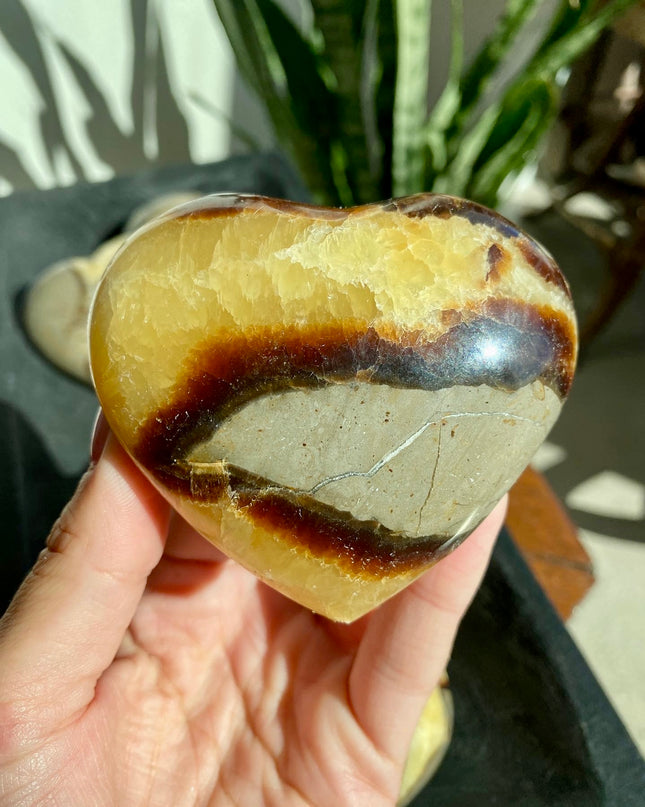 Yellow Septarian Heart | Dragon Stone