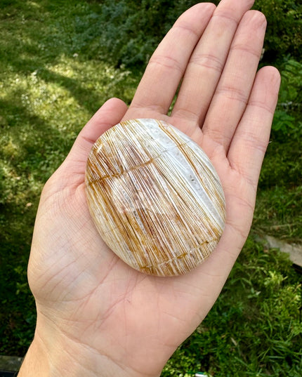 Chopstick Agate Palm Stone | Focus and Flow