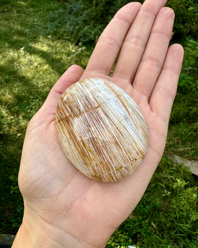 Chopstick Agate Palm Stone | Focus and Flow