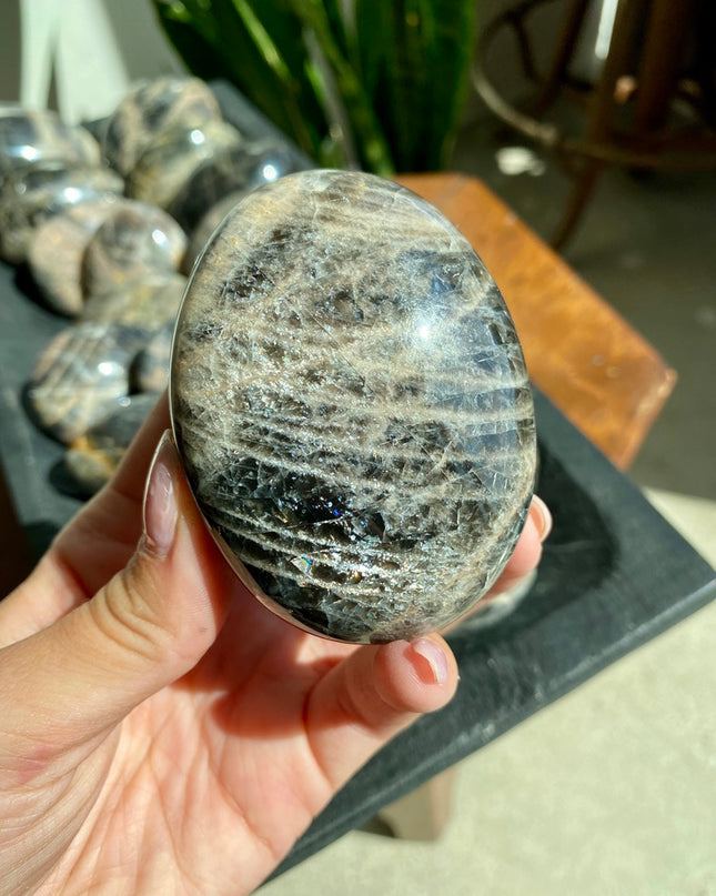 Black Moonstone Palm Stone | Intuition and Reflection