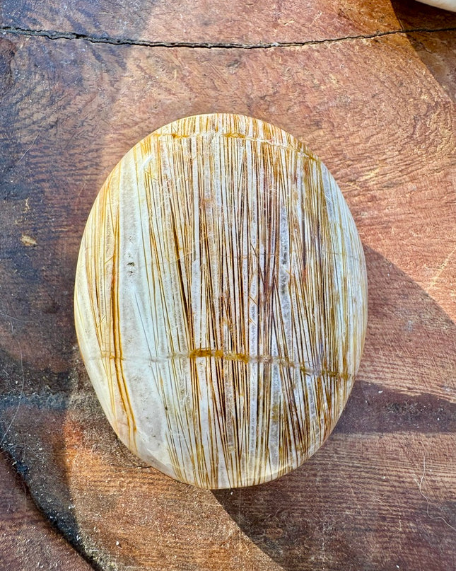 Chopstick Agate Palm Stone | Focus and Flow