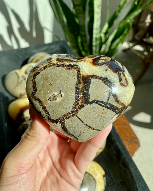 Yellow Septarian Heart | Dragon Stone