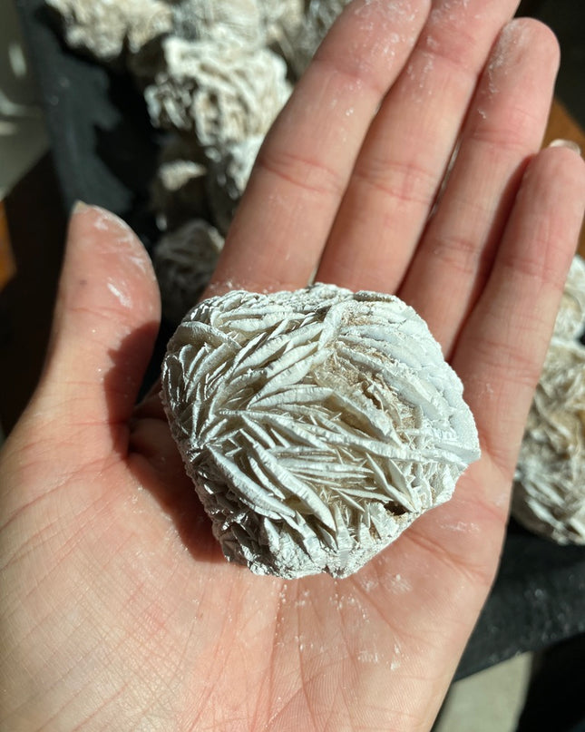 Desert Rose Cluster | Healing Crystal for Grounding & Energy