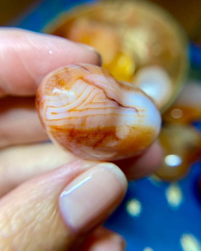Carnelian Heart | Focus Finder