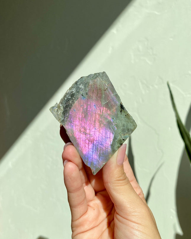 Half-Polished Full Spectrum Labradorite | Natural Radiance