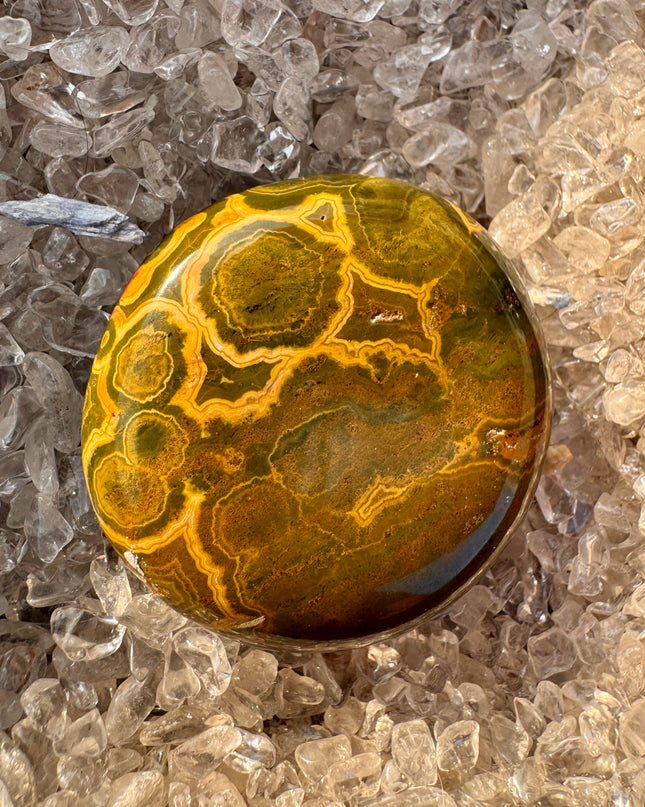 Kabamby Ocean Jasper Palm Stone | Ancient Healing Earth Energy