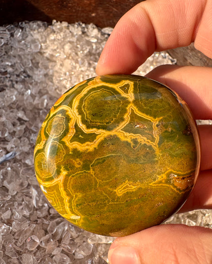 Kabamby Ocean Jasper Palm Stone | Ancient Healing Earth Energy